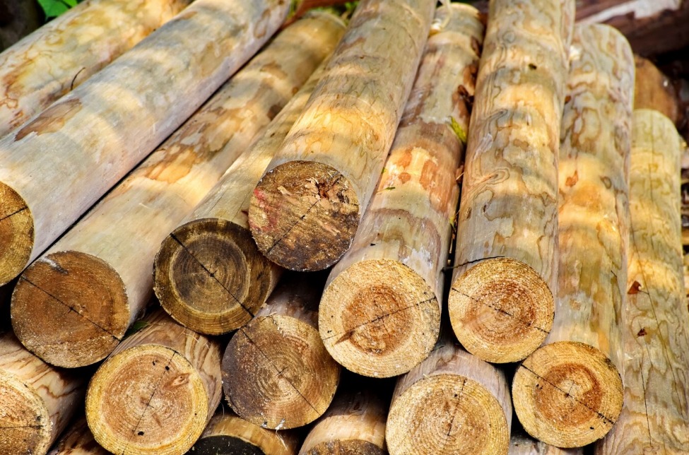 Log Debarking & Drying